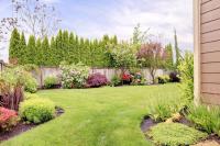 Evergreen Tree and Gardening Services image 1